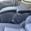 Короб стелс Toyota HiAce H300. Цена – 10 990 руб. фото 7