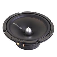 Среднечастотная акустика. Акустическая система ABENT AMP-16. Цена от – 2 440 руб.