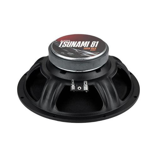 Среднечастотная акустика (Мидбасс). Акустическая система AVATAR TSUNAMI 81. Цена от – 4&nbsp;290 руб. фото 3