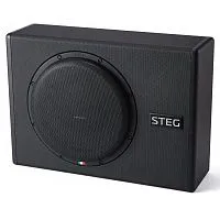 *Сабвуфер STEG ST10P. Цена – 27 490 руб.