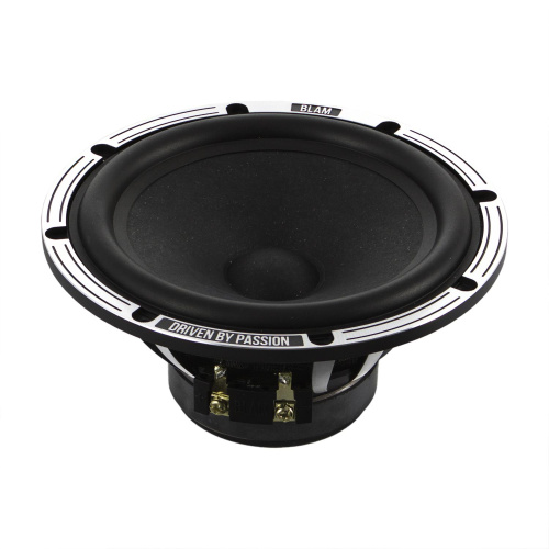 Низкочастотная акустика. Акустическая система BLAM LW165LSQ. Цена от – 32 990 руб. фото 5