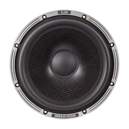 Низкочастотная акустика. Акустическая система BLAM LW200P. Цена от – 59 990 руб. фото 4