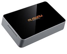 Усилитель с процессором MUSWAY D1S. По цене – 