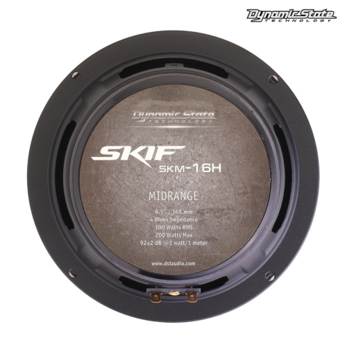 Среднечастотная акустика (Мидбасс). Акустическая система DYNAMIC STATE SKIF SKM-16H. Цена от – 4 590 руб. фото 4