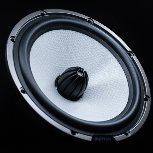 Среднечастотная акустика. Акустическая система ETON HEX 165. Цена от – 89 890 руб. фото 6