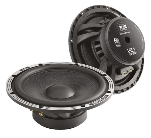 Низкочастотная акустика. Акустическая система BLAM LW200P. Цена от – 59 990 руб.