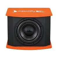 *Сабвуфер DL AUDIO BARRACUDA 10A V.2. Цена – 13 490 руб.