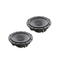 Низкочастотная акустика. Акустическая система BLAM WS6N45. Цена от – 68 990 руб.