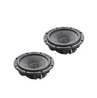 Низкочастотная акустика. Акустическая система BLAM WS6N45. Цена от – 68 990 руб.