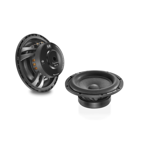 Сабвуфер BLAM WS8120. Цена – 114 990 руб.