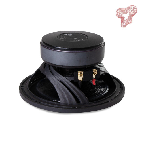 Низкочастотная акустика. Акустическая система BLAM S6100. Цена от – 93 990 руб. фото 2 Низкочастотная акустика. Акустическая система BLAM S6100. Цена от – 93 990 руб. фото 2