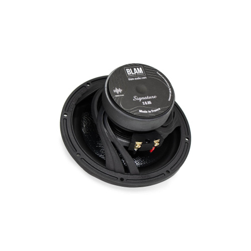 Низкочастотная акустика. Акустическая система BLAM S685. Цена от – 79&nbsp;990 руб. фото 2