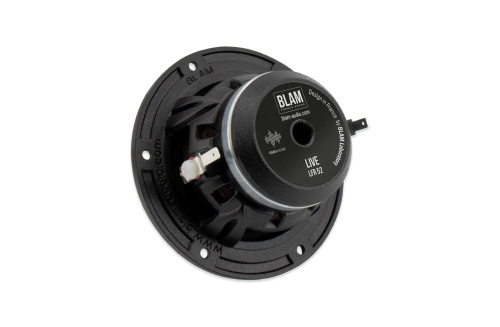 Широкополосная. Акустическая система BLAM LFR 52 акустика. Цена от – 24 990 руб. фото 4 Широкополосная. Акустическая система BLAM LFR 52 акустика. Цена от – 24 990 руб. фото 4