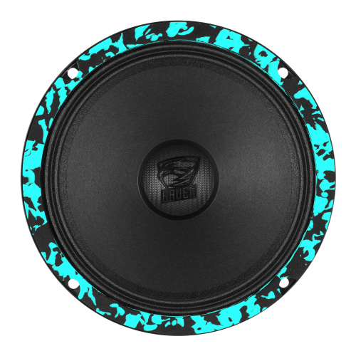 Среднечастотная акустика (Мидбасс). Акустическая система DL AUDIO RAVEN 165 V.3. Цена от – 4&nbsp;950 руб. фото 3