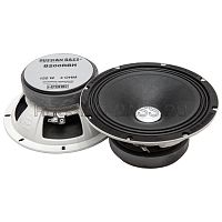 Среднечастотная акустика (Мидбасс). Акустическая система RUSSIAN BASS B200RBH. Цена от – 6 590 руб.