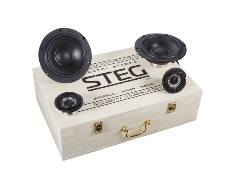 2 компонентная акустика. Акустическая система STEG SS652C. Цена от – 52 190 руб. фото 2