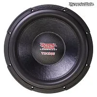 *Сабвуфер DYNAMIC STATE VIKING VSW-302. Цена – 12 750 руб.