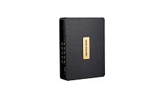 *Процессор GOLDHORN DSP 10. По цене – 57 990 руб.