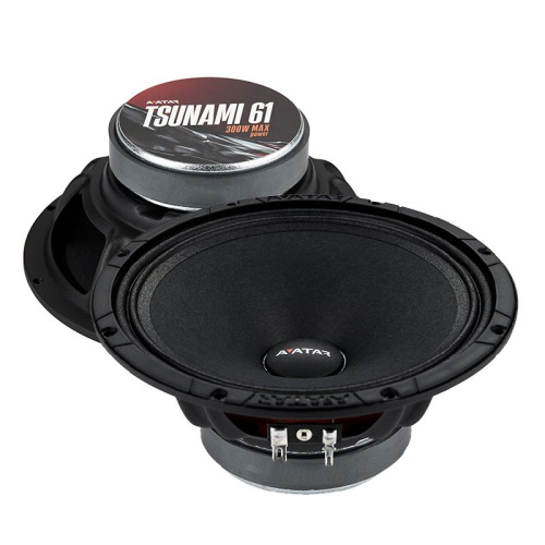Среднечастотная акустика (Мидбасс). Акустическая система AVATAR TSUNAMI 61. Цена от – 3&nbsp;390 руб.