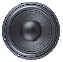 Сабвуфер SOAUDIO SO250. Цена – 64 890 руб.
