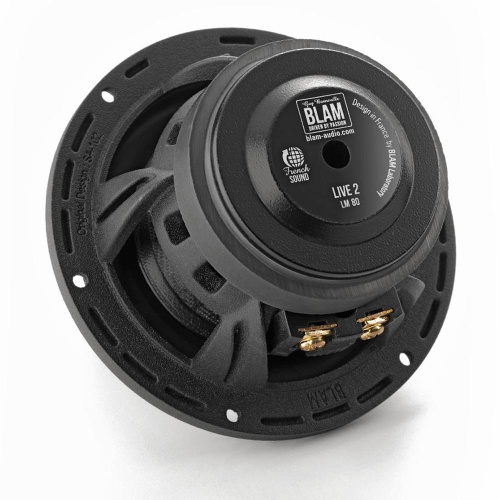 Среднечастотная акустика. Акустическая система BLAM LM 80. Цена от – 24 990 руб. фото 2