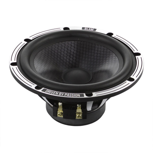 Низкочастотная акустика. Акустическая система BLAM LW165A. Цена от – 35 990 руб. фото 5 Низкочастотная акустика. Акустическая система BLAM LW165A. Цена от – 35 990 руб. фото 5