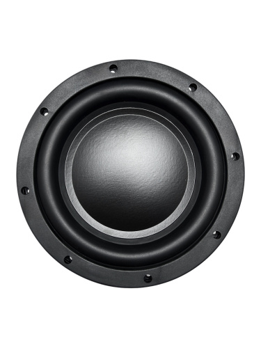 Сабвуфер AMP SWS-10 D2\D4. Цена – 19&nbsp;890 руб.