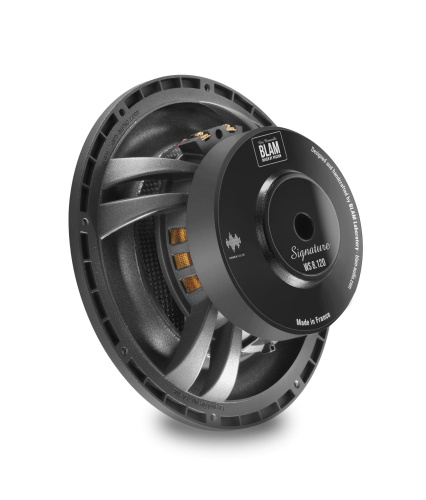 Сабвуфер BLAM WS8120. Цена – 114 990 руб. фото 3