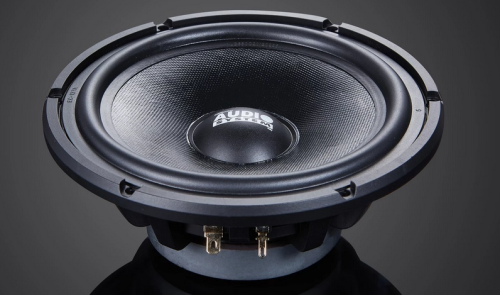 2 компонентная акустика. Акустическая система AUDIO SYSTEM (Italy) ALG650C. Цена от – 14&nbsp;850 руб. фото 4