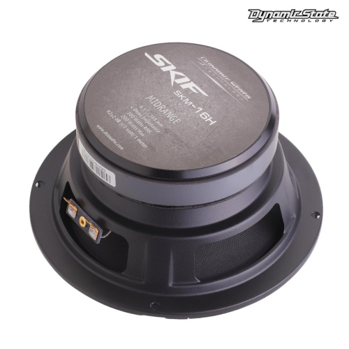 Среднечастотная акустика (Мидбасс). Акустическая система DYNAMIC STATE SKIF SKM-16H. Цена от – 4 590 руб. фото 2
