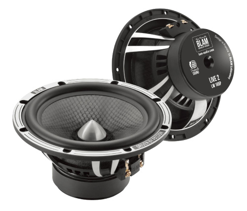 Низкочастотная акустика. Акустическая система BLAM LW165P. Цена от – 46 990 руб.