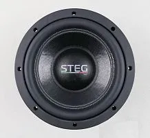 Сабвуфер STEG S8. Цена – 14 290 руб.