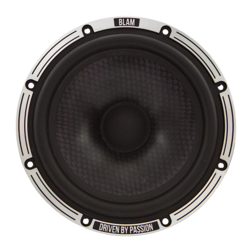 Низкочастотная акустика. Акустическая система BLAM LW165A. Цена от – 35 990 руб. фото 4 Низкочастотная акустика. Акустическая система BLAM LW165A. Цена от – 35 990 руб. фото 4