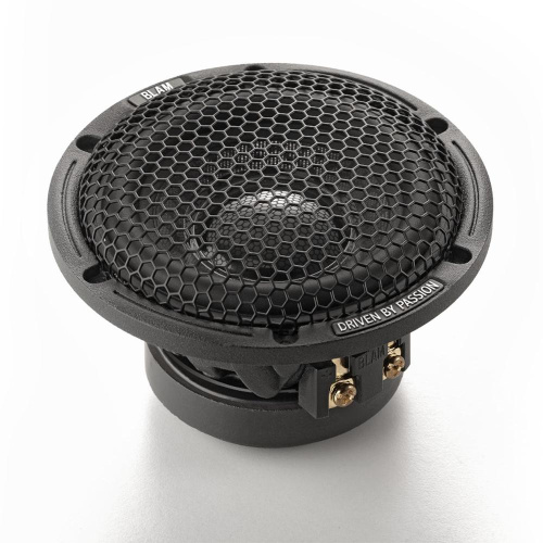 Среднечастотная акустика. Акустическая система BLAM LM 80. Цена от – 24 990 руб.