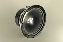 *Сабвуфер DEGO SB-10 P-MK3. Цена – 69 890 руб.