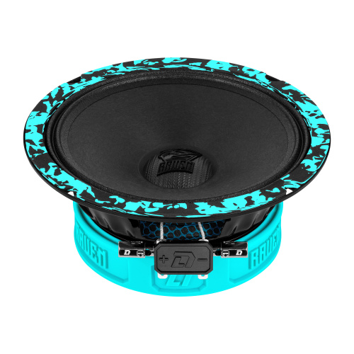 Среднечастотная акустика (Мидбасс). Акустическая система DL AUDIO RAVEN 165 V.3. Цена от – 4&nbsp;950 руб.