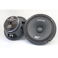 *Среднечастотная акустика (Мидбасс). Акустическая система DYNAMIC STATE CUSTOM CM-20.3. Цена от – 4&nbsp;290 руб.